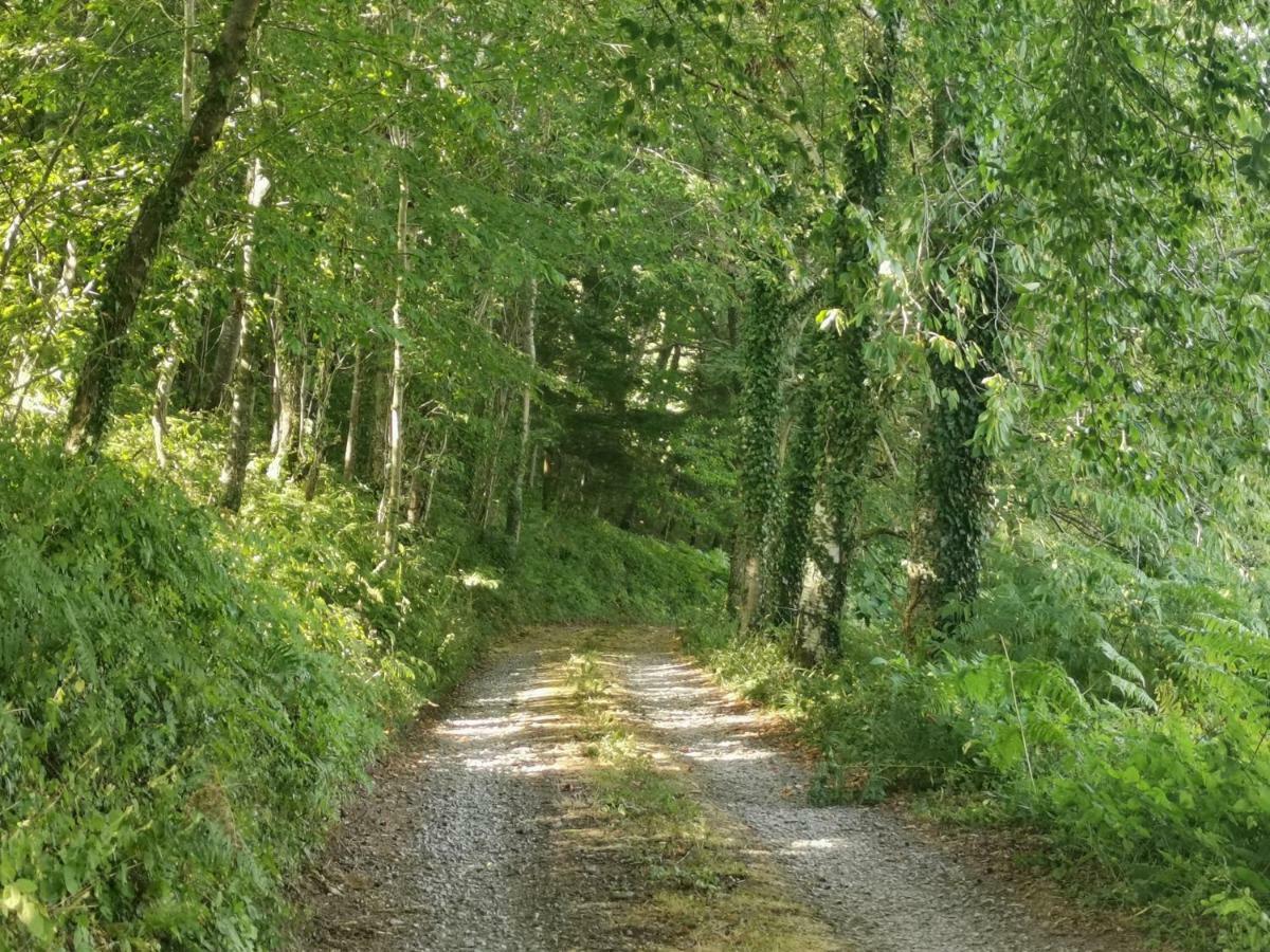 Domaine Lvd Avec Spa, Bois Et Riviere Privee La Bloutiere Zewnętrze zdjęcie