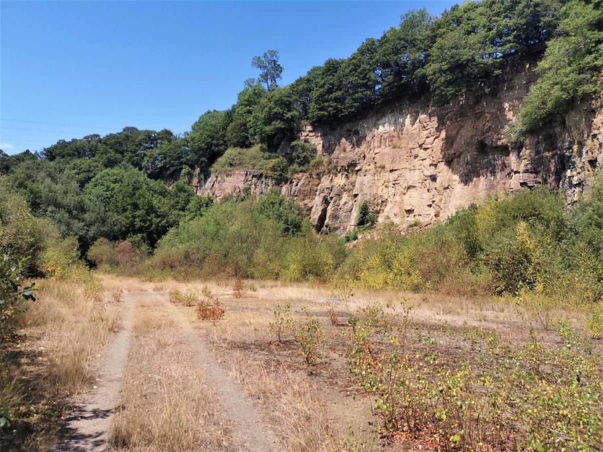 Domaine Lvd Avec Spa, Bois Et Riviere Privee La Bloutiere Zewnętrze zdjęcie